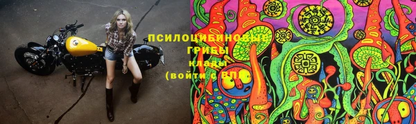 ГАЛЛЮЦИНОГЕННЫЕ ГРИБЫ Абинск
