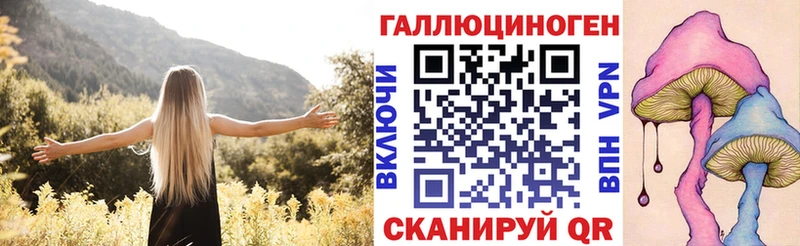 хочу   Касли  Псилоцибиновые грибы Cubensis 